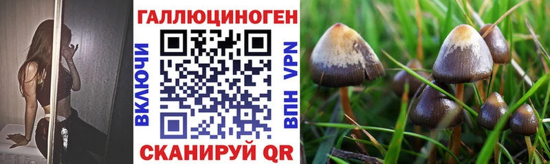 Галлюциногенные грибы Magic Shrooms  Окуловка 